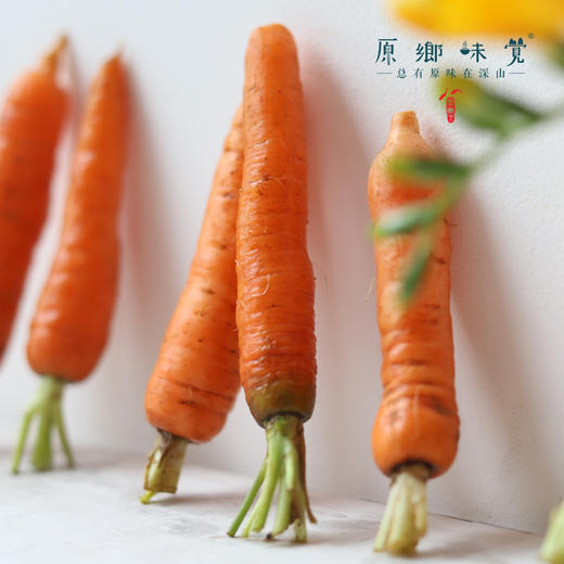 有机胡萝卜（基地直发-顺丰包邮） | 3斤，5斤，来自云南昆明，生产者：王建钧【合作生产，公平贸易 商品图8