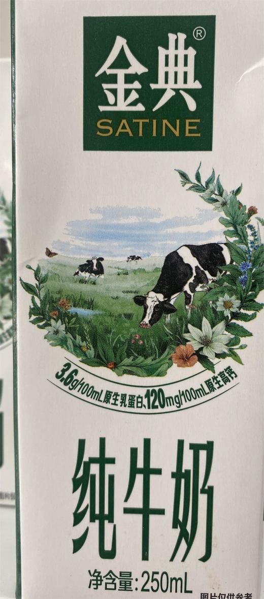 经典纯牛奶250ml 商品图0