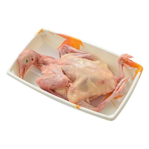 从岭土鸽260g/份 商品图0