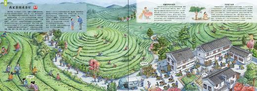 丰收：献给孩子的农耕文明画卷【“中国农民丰收节”推荐读物】 商品图6