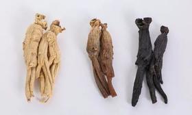 你知道黑参吗？