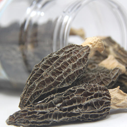 【助力帮扶】粤清香汤料系列 羊肚菌（瓶装）50g 【基地直邮】 商品图0