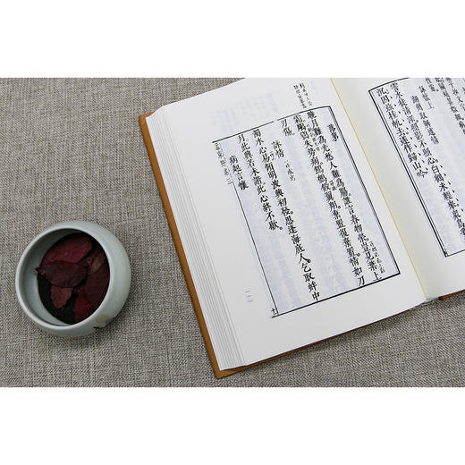 (仓发) 孟东野诗集--拾瑶丛书/文物出版社/[宋]刘辰翁/97875010643119787501064311 商品图1