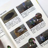 图说柑橘整形修剪与12月栽培管理 【中国农业出版社官方正版】 商品缩略图3