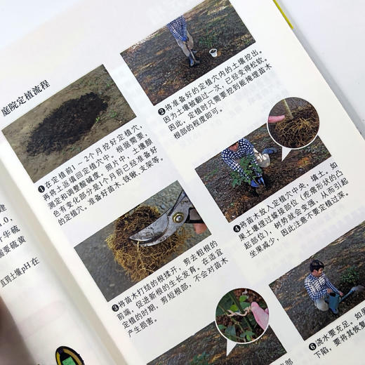 图说柑橘整形修剪与12月栽培管理 【中国农业出版社官方正版】 商品图3