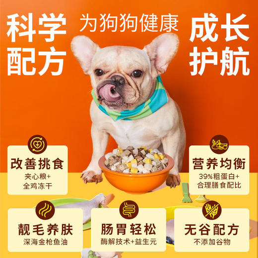 【99元任选8件】冻干夹心款狗粮 50g*4袋 商品图1