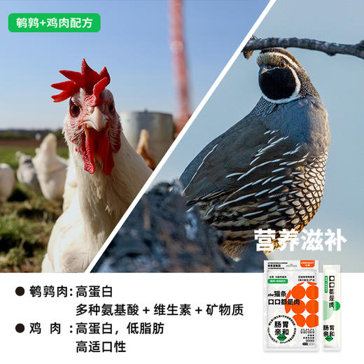 优朗肠胃亲和猫条 商品图4