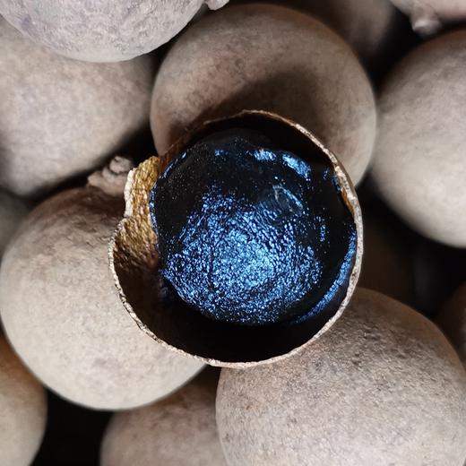 【七掌柜·建中贴】以气行气，通调脾胃。脾胃虚弱，消化不良，积食便秘。脾胃虚寒，肠胃不适，腹泻 商品图3