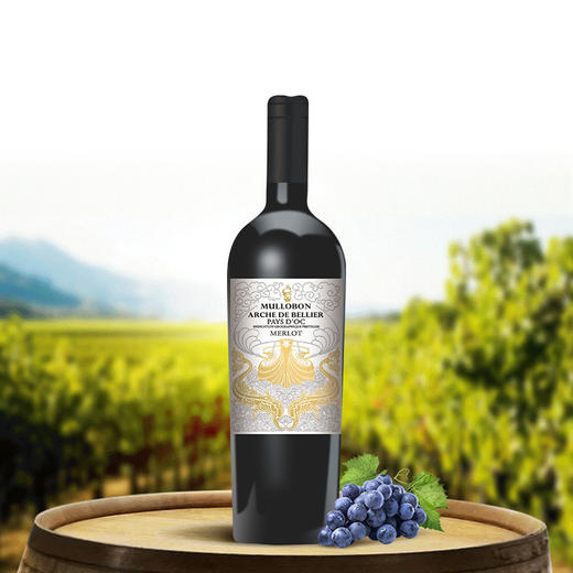 【6瓶装】贝利方舟法国进口干红葡萄酒2017年 13%vol 750ml/瓶 商品图3