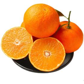 劲逮逮 四川爱媛38号果冻橙新鲜水果甜橙子当季整箱大果水果包邮基地直发