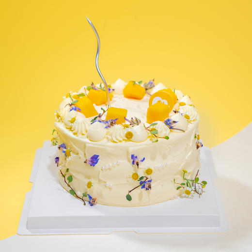 圆舞曲 · 动物奶油蛋糕 商品图2