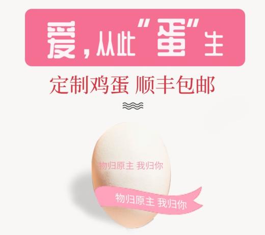 鸡仔总动员定制礼盒20枚/盒 礼盒装 商品图2