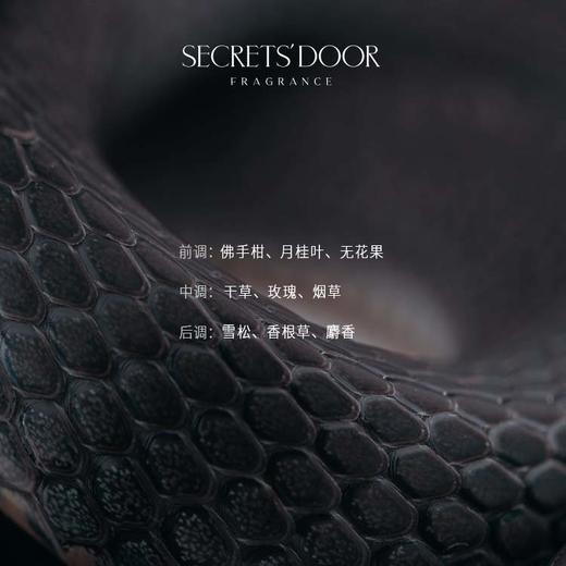 美杜莎之筏 商品图1