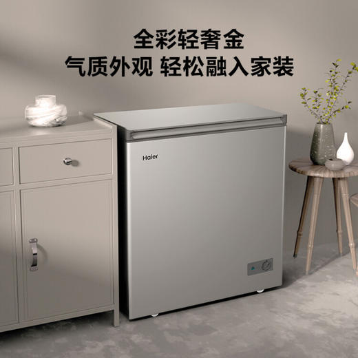 海尔 Haier 京馨 金彩系列 200升 低霜小型商用家用冰柜 冷藏冷冻转换 冷冻柜 母乳冷藏小冰箱冷柜BC/BD-200GHPCD 商品图3