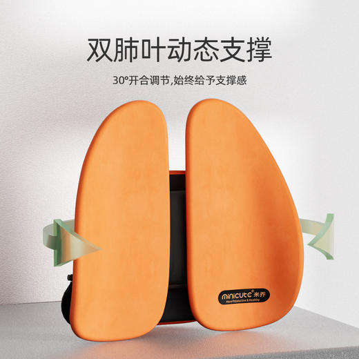 【限量款】米乔人体工学腰垫-奢享版 商品图3