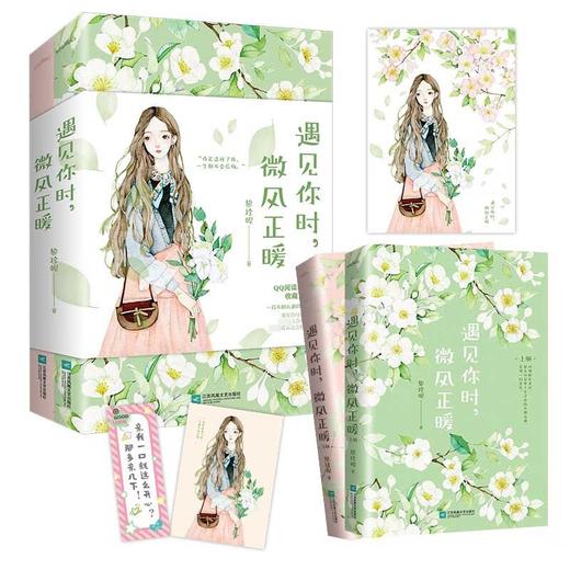 遇见你时 微风正暖 黎珍妮 著 青春文学 商品图2