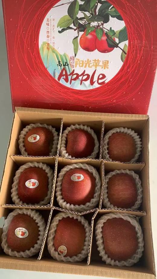 野生苹果礼盒（9个） 商品图0