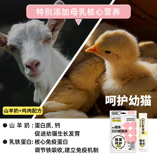 优朗肠胃亲和猫条 商品图7