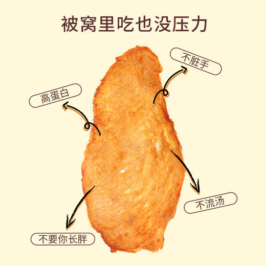 专属【拍1发4】 低卡博士鸡胸肉干被窝零食1.0 商品图2