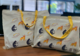 宠物住院健康护理包