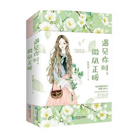 遇见你时 微风正暖 黎珍妮 著 青春文学