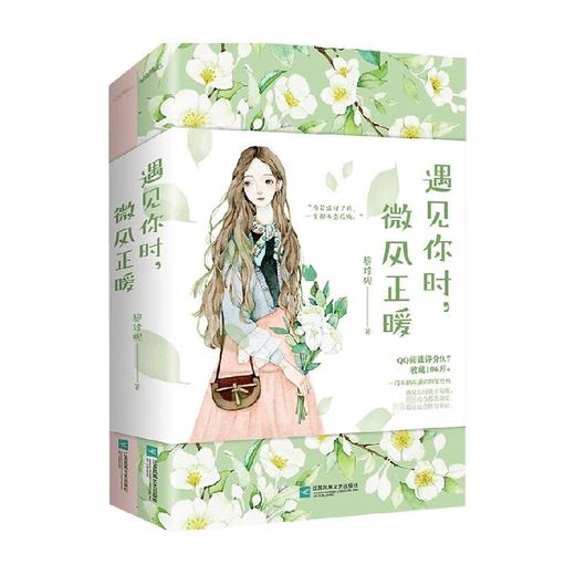 遇见你时 微风正暖 黎珍妮 著 青春文学 商品图0
