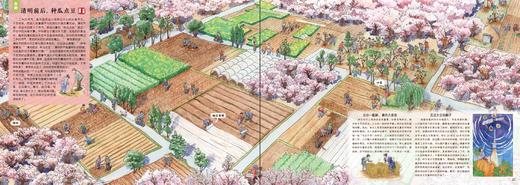 丰收：献给孩子的农耕文明画卷【“中国农民丰收节”推荐读物】 商品图3