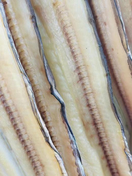 【大连知名特产】旅顺盐场老韩头，人送外号“鱼干王”，精选鲜鱼，用独特的方法晒出的鱼干，咸鲜适中，口感劲道，外干里嫩，鲜香美味。旅顺老韩头鳝鱼干/鲅鱼干/偏口鱼干，辽宁省内包邮 商品图2