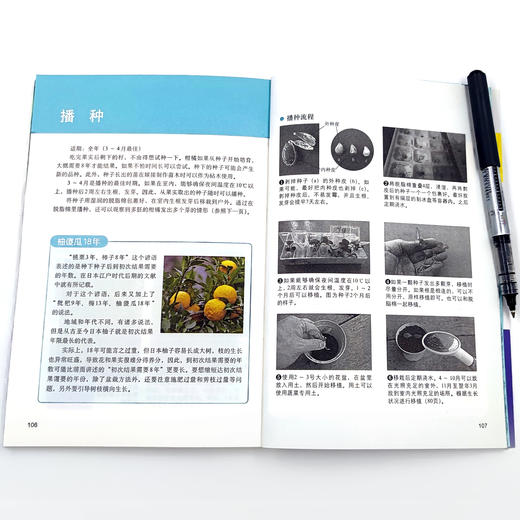 图说柑橘整形修剪与12月栽培管理 【中国农业出版社官方正版】 商品图2