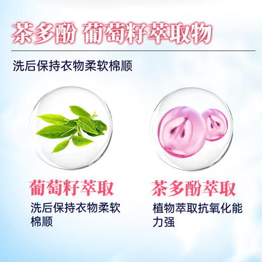 【买一次用半年】香港城市气息樱花酵素香氛洗衣液 4瓶8L超值装  低泡易漂  温和去污 商品图3