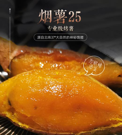 【秒杀】山东烟薯25（5斤   13个左右） 商品图1