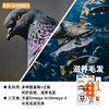 优朗肠胃亲和猫条 商品缩略图5