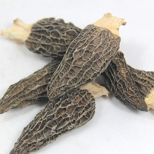 【助力帮扶】粤清香汤料系列 羊肚菌（瓶装）50g 【基地直邮】 商品图1