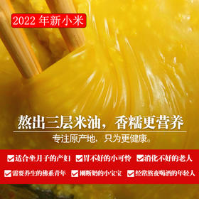 【陕西 • 米脂小米 】新米软糯香醇 粒粒分明 土法鲜磨 米油丰富 袋装