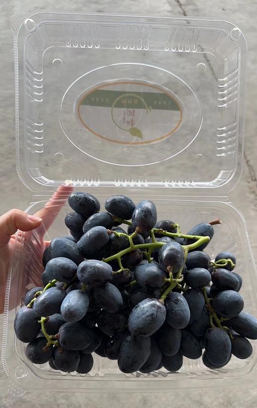 秋黑葡萄（2斤） 商品图0