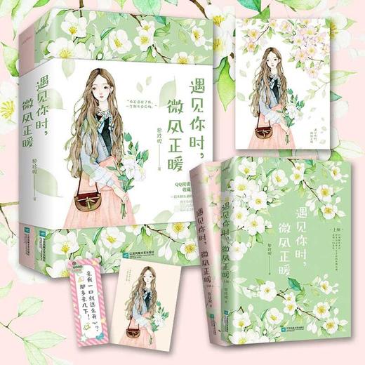 遇见你时 微风正暖 黎珍妮 著 青春文学 商品图1