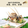 昆虫记：立体书 商品缩略图2