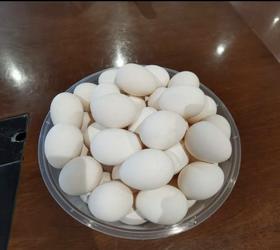 贵妃鸡蛋（零售）