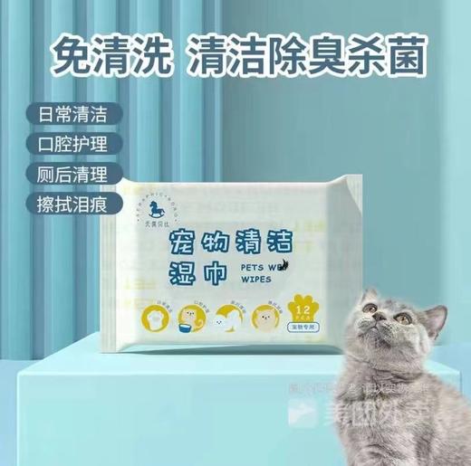 天真贝比便携装12片宠物湿巾猫咪狗狗清洁身体眼部耳朵卫生护理纸巾 12片 商品图1