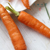 有机胡萝卜（基地直发-顺丰包邮） | 3斤，5斤，来自云南昆明，生产者：王建钧【合作生产，公平贸易 商品缩略图7
