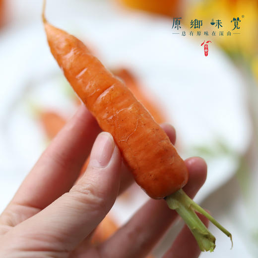 有机胡萝卜（基地直发-顺丰包邮） | 3斤，5斤，来自云南昆明，生产者：王建钧【合作生产，公平贸易 商品图6