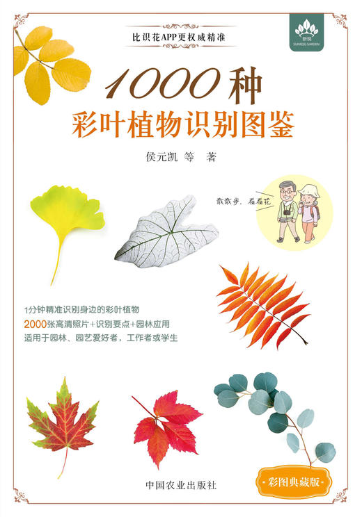 1000种彩叶植物识别图鉴（彩图典藏版）【全国优秀林草科普作品】【一分钟精准识别身边的彩叶植物】 商品图12