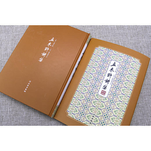 (仓发) 孟东野诗集--拾瑶丛书/文物出版社/[宋]刘辰翁/97875010643119787501064311 商品图4