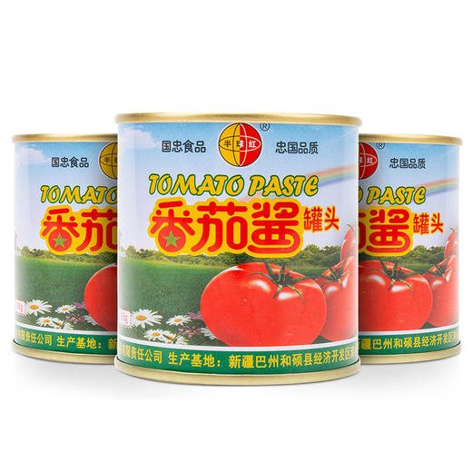 半球红新疆番茄酱多规格198g罐头0脂肪纯西红柿调味料半球红蕃 商品图3