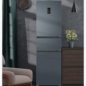 海尔（Haier）冰箱 BCD-217WGHC3E9C9U1