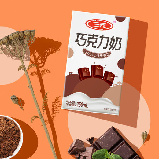 【企业购-常温】巧克力牛奶 250ml*24盒 商品图14