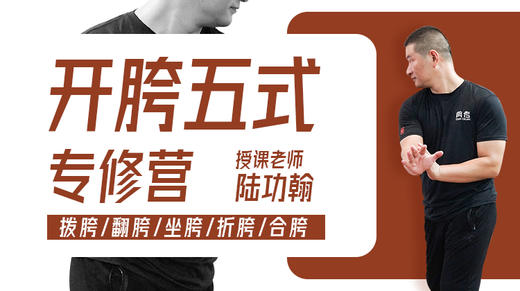 【胯劲专训】2—开胯五式 专修课程 商品图0