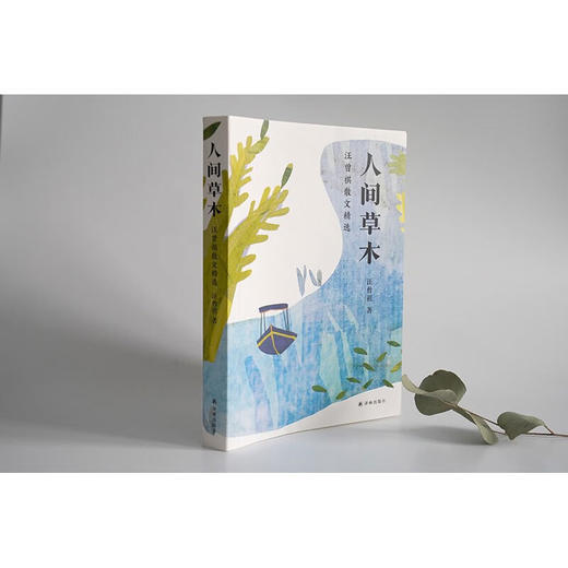 人间草木 汪曾祺散文精选 汪曾祺 著 文学 商品图2