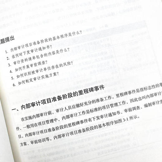 风险导向内bu审计实务指南 付淑威审计实务工具书财务会计审计计划 商品图5