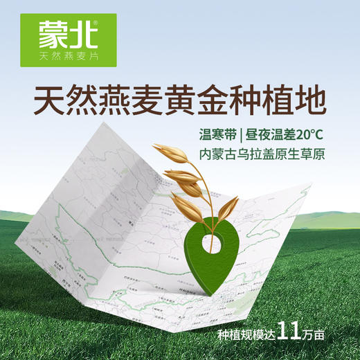 有机蒙北雪原燕麦片 28g*10/盒（中国有机认证、美国有机认证、欧盟有机认证） 商品图2